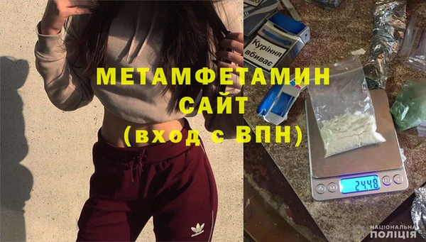 индика Волосово
