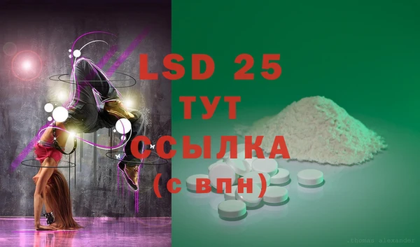 индика Волосово