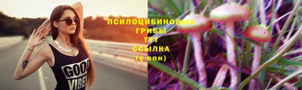 индика Волосово