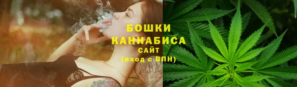 индика Волосово
