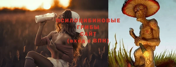сатива Вязьма