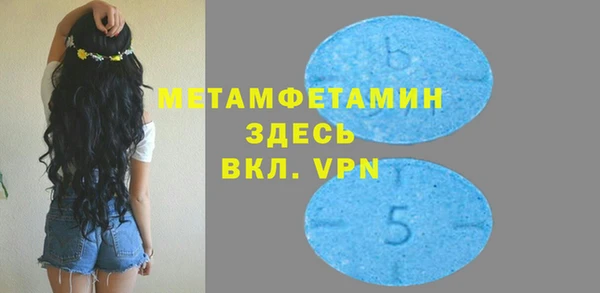 индика Волосово