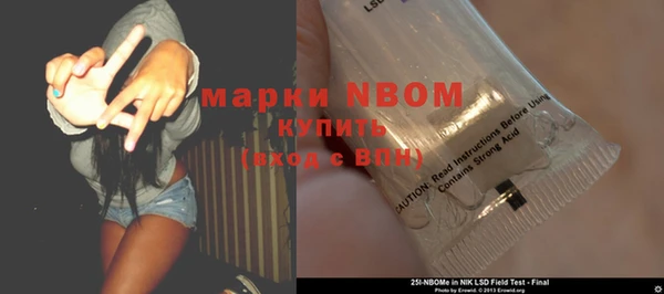 индика Волосово